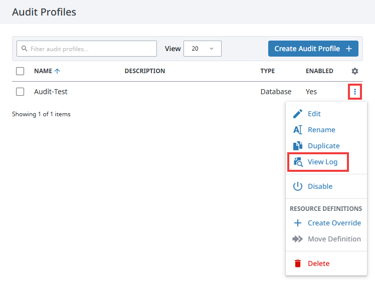 Gateway Audit Log View Log Option
